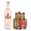 JJ Whitley Rhubarb Vodka, 0,7 l + 4x Fentimans Ginger Beer