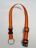 Obojek popruh s kroužkem 65 cm x 25 mm | Velikost: 65 cm x 25 mm | Oranžový s pásky
