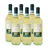 Set 6 láhví bílého vína Langhe D.O.C. Favorita
