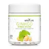 Ginkgo biloba, 100 tobolek