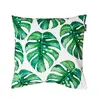 Monstera Leaves