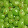 Sladké jablko, 1000 g