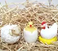 Beránek + kuřátko + slepička