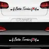Bostonský teriér | Typ: Bílá
