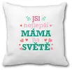 Nejlepší máma