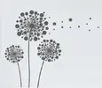 Allium