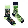 Koala | Velikost: 36–39