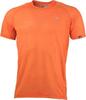 Pánské funkční tričko Northfinder | Velikost: S | Oranžová