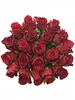 Kytice 21 růží Rhodos (60 cm)