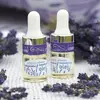 Levandulový esenciální olej, 5 ml
