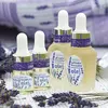 Levandulový esenciální olej, 15 ml