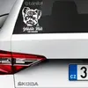 Jorkšírský teriér | Bílá