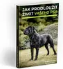Jak prodloužit život vašeho psa