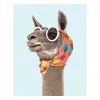 Fashion lama