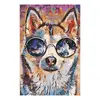 Husky s brýlemi