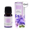 Violette