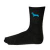 Pánské ponožky Kašmir Original PB04 černá/modrá | Velikost: 40-43