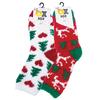 2x dámské žinilkové vánoční barevné ponožky OX4200119 - pack 3