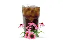 Bio cola bez kofeinu s echinaceou 750 ml