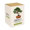 Grow it - Bonsai