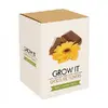 Grow it - Čokoláda