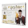 Harry Potter – trhací