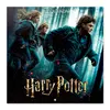 Harry Potter – nástěnný