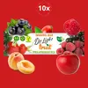 10x tyčinka - Černý rybíz