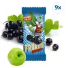 9× 20g ovocná tyčinka Frukvik Černý rybíz (180 g)