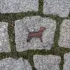 Jack Russel teriér
