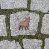 Francouzský buldoček