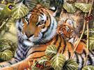 Malování podle čísel – Tygr a mládě