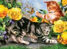 Malování podle čísel – Koťata na zahradě