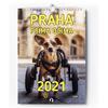 Charitativní kalendář „Praha psíma očima 2021“