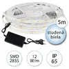 LED pásek voděodolný, 5m - studená bílá