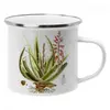 Aloe vera | Typ: Pro praváky