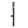 Nylonové vodítko pro psa | Velikost: 150 x 1,3 cm | Modrá