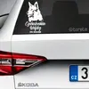 Československý vlčák | Bílá