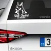 Bílý švýcarský ovčák | Bílá