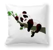 Roztomilá panda
