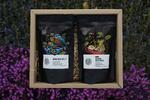 Degustační balení výběrové kávy na přípravu espressa - Brazílie/ Etiopie