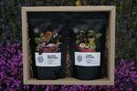 Degustační balení výběrové kávy na přípravu filtrované kávy - Etiopie/ Kolumbie