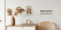 Obraz s jedním mazlíčkem | Rozměr: 20 × 30 cm