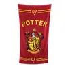 Ručník Harry Potter: Potter 07