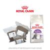 Royal Canin Sensible 33 - vakuované balení | Hmotnost: 0,5 kg