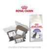 Royal Canin Sterilised 37 - vakuované balení | Hmotnost: 0,5 kg