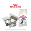Royal Canin Sterilised 37 - vakuované balení | Hmotnost: 0,5 kg