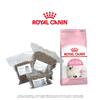 Royal Canin Feline Kitten - vakuované balení | Hmotnost: 0,5 kg