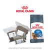 Royal Canin Feline Light Weight Care - vakuované balení | Hmotnost: 0, 5 kg