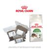 Royal Canin Outdoor - vakuované balení | Hmotnost: 0,5 kg